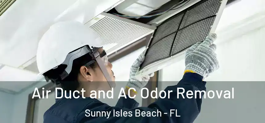  Air Duct and AC Odor Removal Sunny Isles Beach - FL