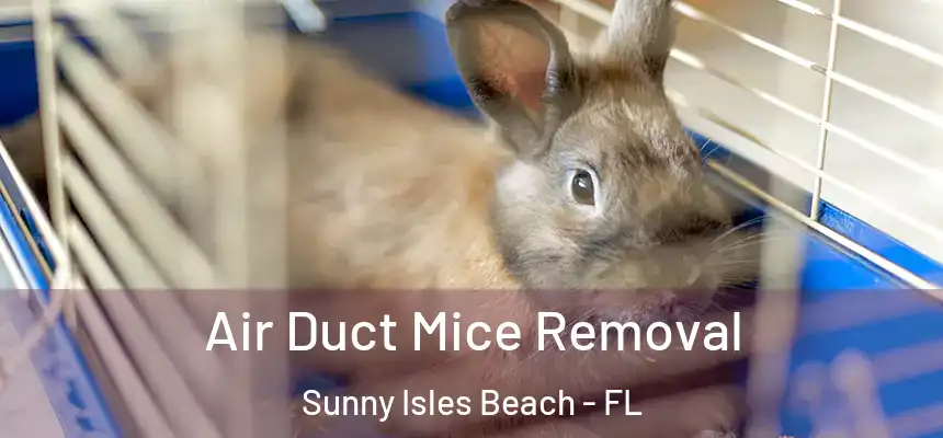Air Duct Mice Removal Sunny Isles Beach - FL