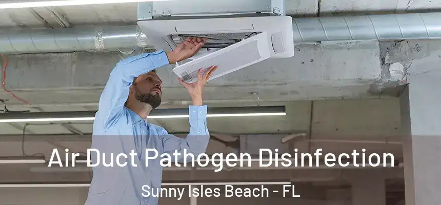 Air Duct Pathogen Disinfection Sunny Isles Beach - FL