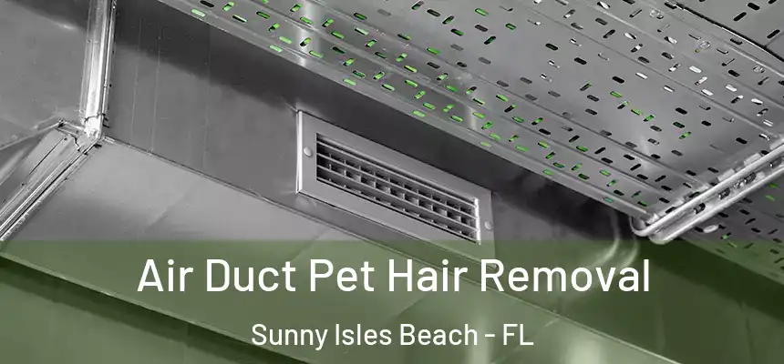 Air Duct Pet Hair Removal Sunny Isles Beach - FL