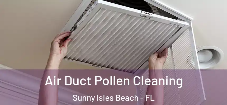 Air Duct Pollen Cleaning Sunny Isles Beach - FL