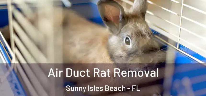Air Duct Rat Removal Sunny Isles Beach - FL