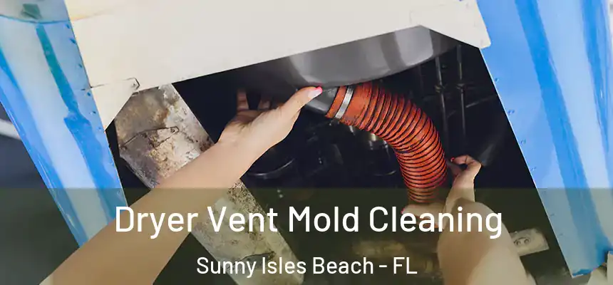  Dryer Vent Mold Cleaning Sunny Isles Beach - FL