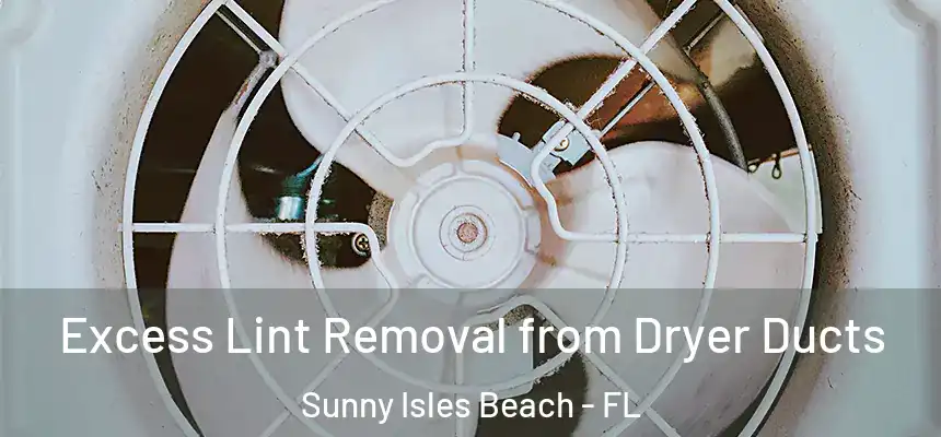  Excess Lint Removal from Dryer Ducts Sunny Isles Beach - FL