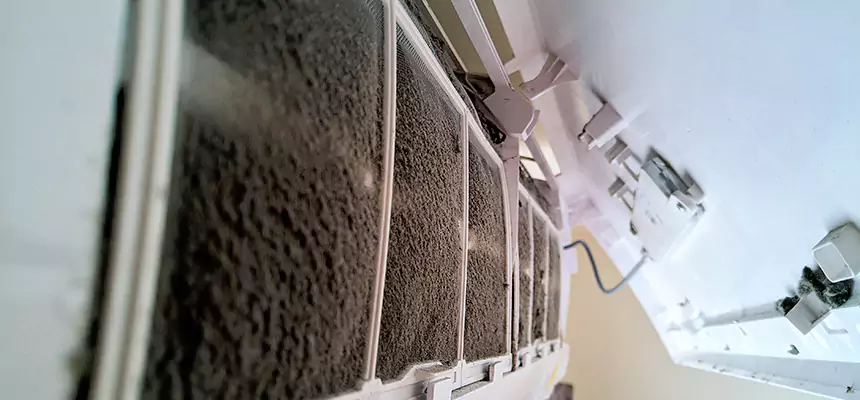 Preventive Air Duct Bacteria Removal in Sunny Isles Beach