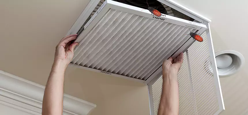 Preventive Cockroach-Proofing for Ducts in Sunny Isles Beach
