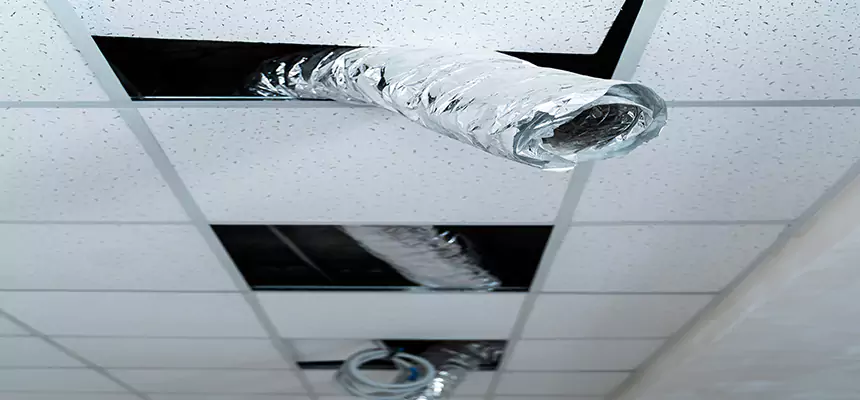 Our Air Duct Pet Hair Removal Services in Sunny Isles Beach, FL