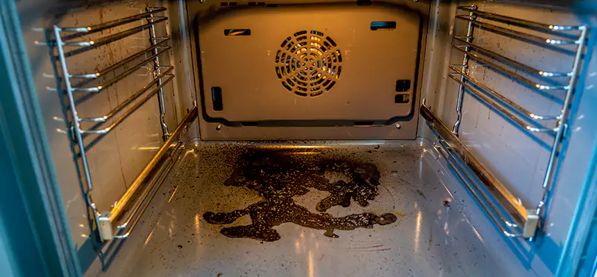 Our Dryer Vent Mold Cleaning Services in Sunny Isles Beach, FL