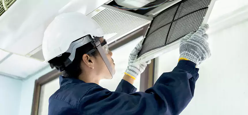 Our Mold & Mildew Removal from Air Ducts Services in Sunny Isles Beach, FL