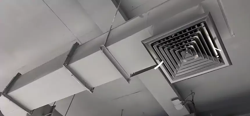 Our Pest Removal From Ducts Services in Sunny Isles Beach, FL