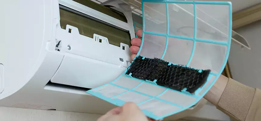 Gentle Ductwork Odor-Control Pet Dander Duct Cleaning in Sunny Isles Beach, FL