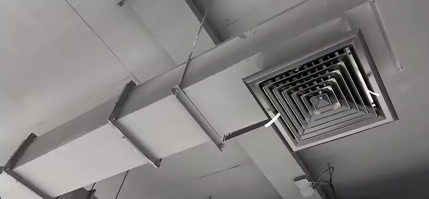 Our Rodent Droppings In Vents Services in Sunny Isles Beach, FL