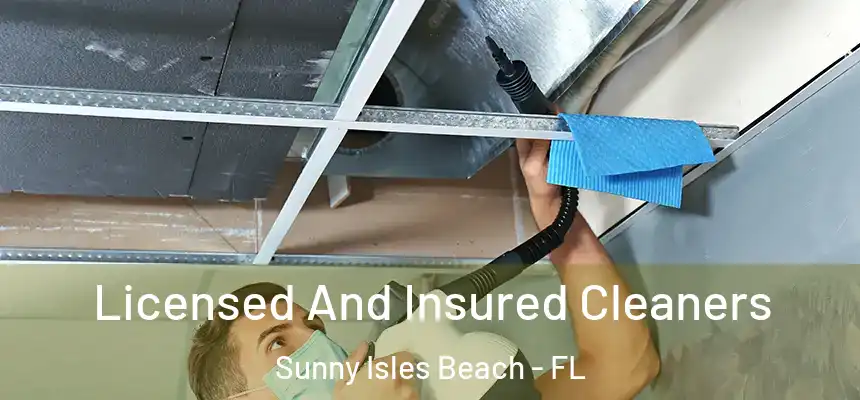 Licensed And Insured Cleaners Sunny Isles Beach - FL