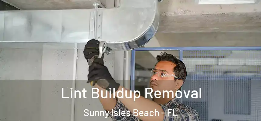 Lint Buildup Removal Sunny Isles Beach - FL