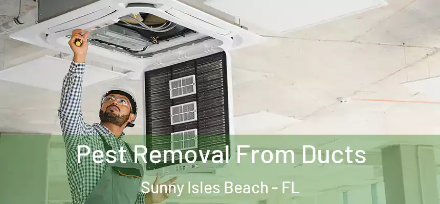 Pest Removal From Ducts Sunny Isles Beach - FL