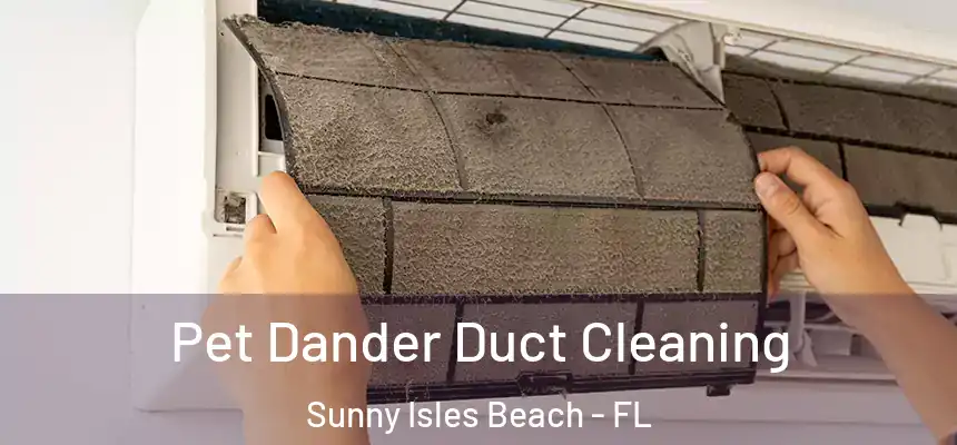 Pet Dander Duct Cleaning Sunny Isles Beach - FL