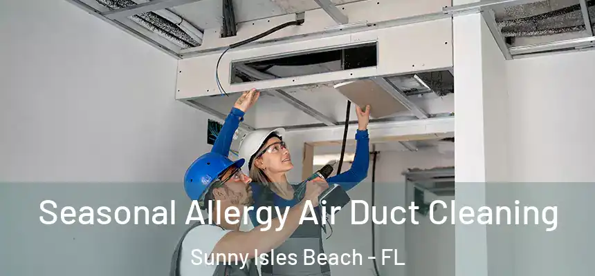 Seasonal Allergy Air Duct Cleaning Sunny Isles Beach - FL
