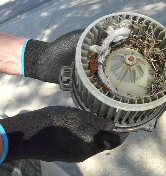 About Air Duct Mice Removal in Sunny Isles Beach, FL