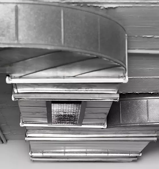 Professional Air Duct Pest Removal in Sunny Isles Beach, FL