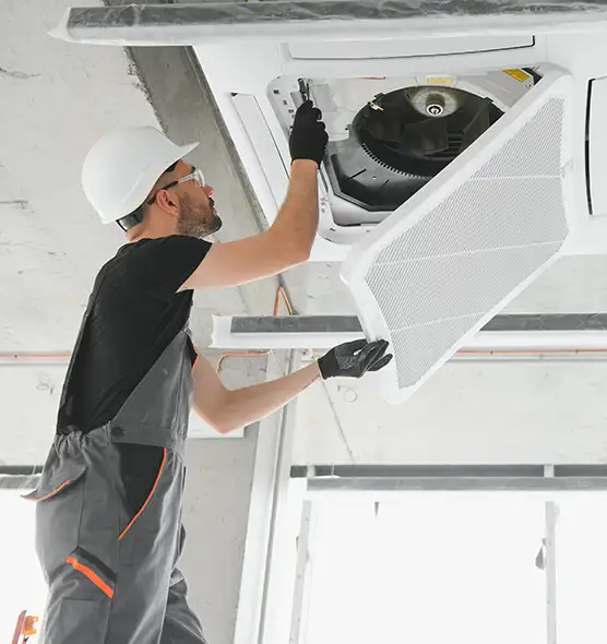 About Air Duct Rodent Removal in Sunny Isles Beach, FL