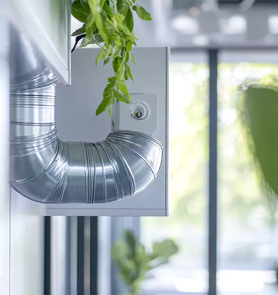 Professional Eco-Safe Dryer Vent Cleaning in Sunny Isles Beach, FL