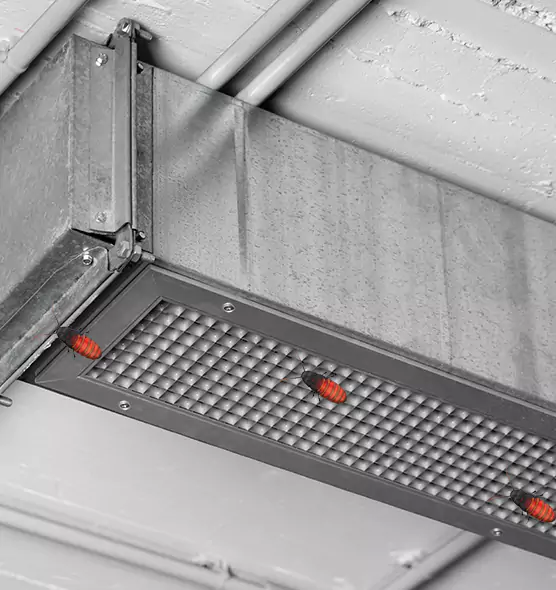 Affordable Insect Removal from Air Ducts in Sunny Isles Beach, FL