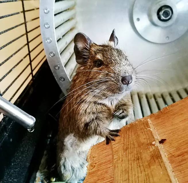 Why Homeowners & Businesses Trust Us Sunny Isles Beach, FL