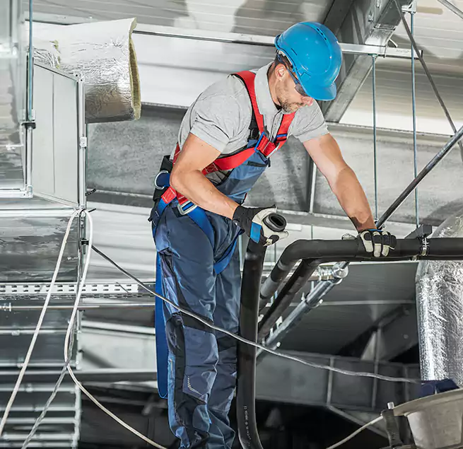 Why Homeowners & Businesses Trust Us in Sunny Isles Beach, FL?