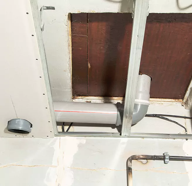 Why Homeowners & Businesses Trust Us in Sunny Isles Beach, FL?