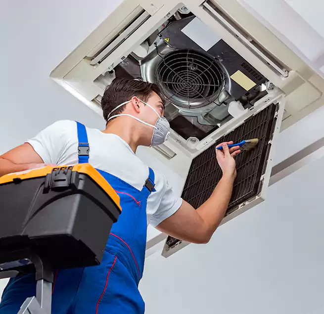 Why Homeowners & Businesses Trust Us in Sunny Isles Beach, FL