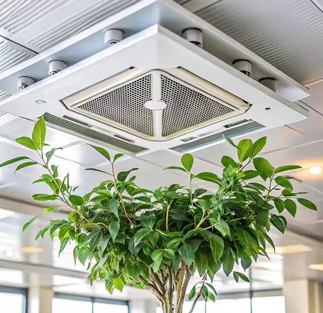 Why Homeowners & Businesses Trust Us in Sunny Isles Beach, FL?