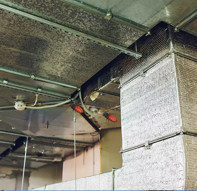 Why Homeowners & Businesses Trust Us Sunny Isles Beach, FL?