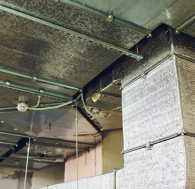 Why Homeowners & Businesses Trust Us in Sunny Isles Beach, FL?